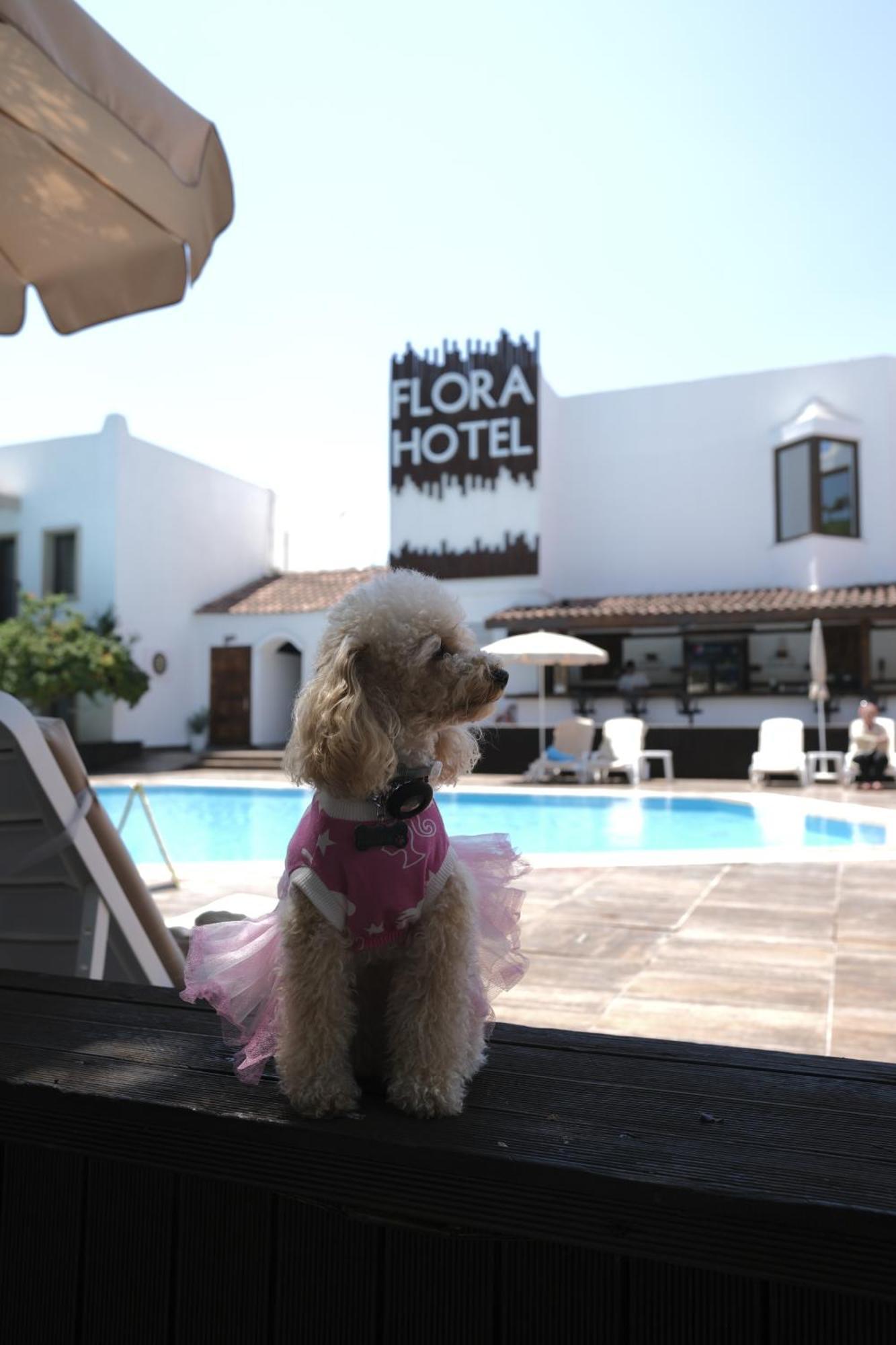 Flora Hotel Гюмбет Екстериор снимка
